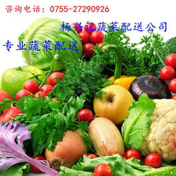 惠州专业工厂蔬菜配送服务公司教你如何选购生鲜食品